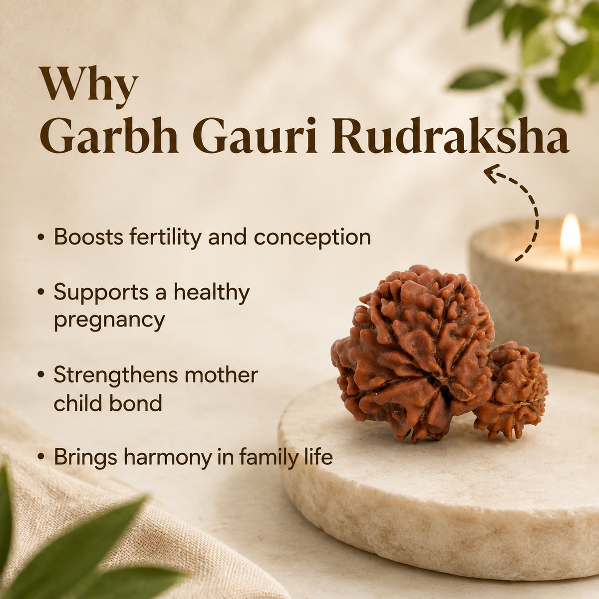 Nepal Origin Garbh Gauri Rudraksha - 17mm - 22mm