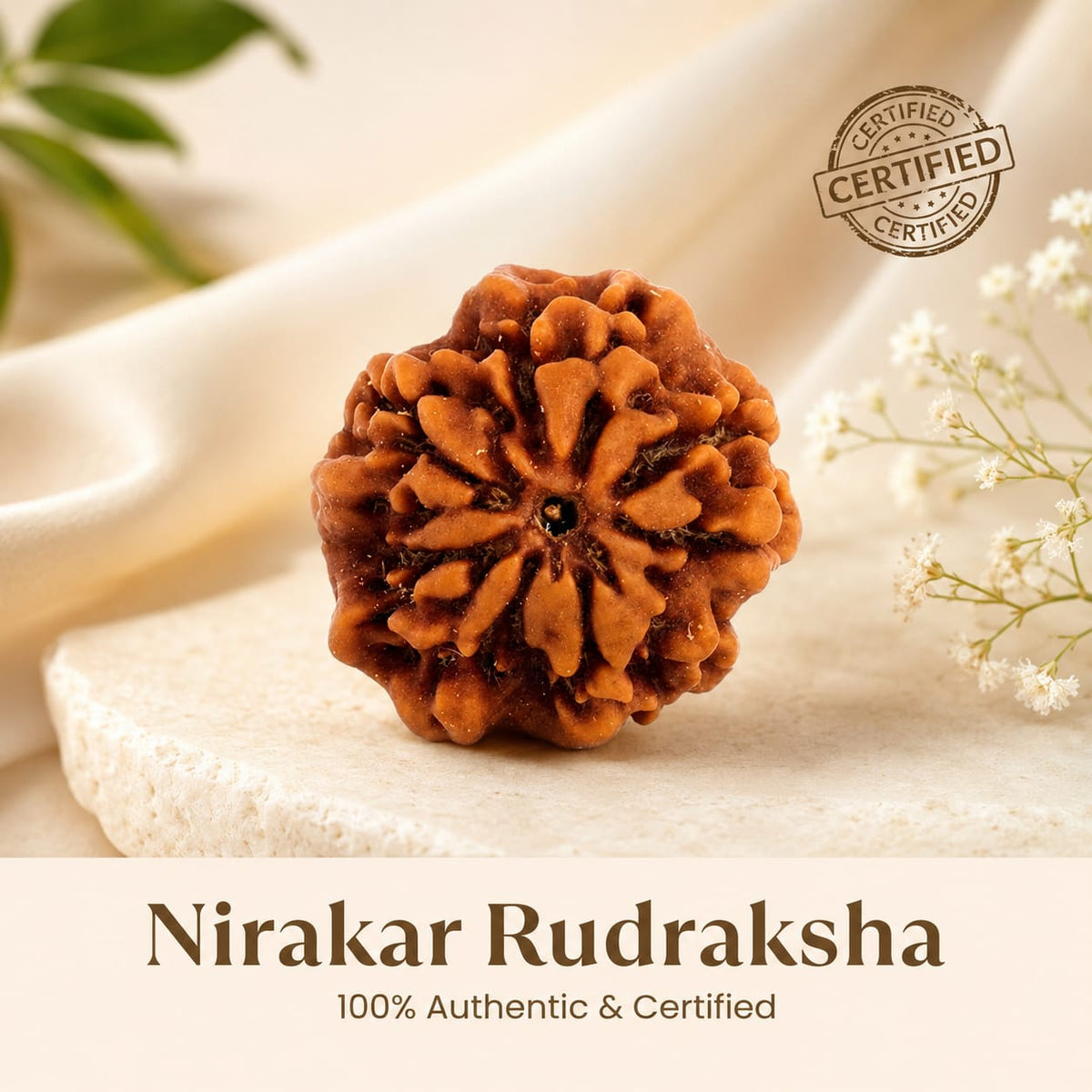 Nirakar Rudraksha (0 Mukhi) - 17mm-22mm