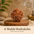 Nepal Origin 4 Mukhi Rudraksha - 17mm to 22mm