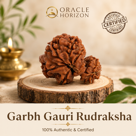 Nepal Origin Garbh Gauri Rudraksha - 17mm - 22mm