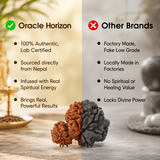 Nepal Origin Garbh Gauri Rudraksha - 17mm - 22mm