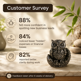 Owl Pyrite Stone