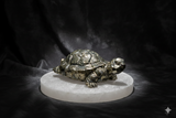 Pyrite Tortoise – The Guardian of Wealth, Stability & Long-Lasting Success