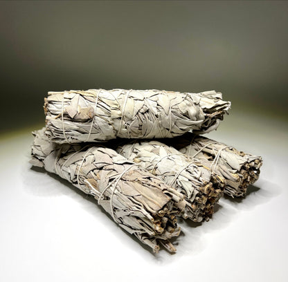 California Sage – Purification, Protection, and Spiritual Clarity