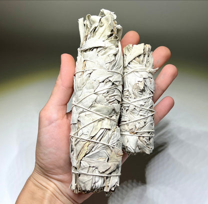 California Sage – Purification, Protection, and Spiritual Clarity