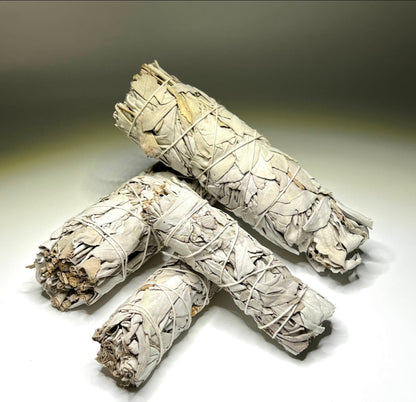 California Sage – Purification, Protection, and Spiritual Clarity