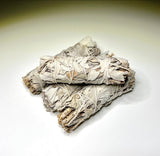 California Sage – Purification, Protection, and Spiritual Clarity