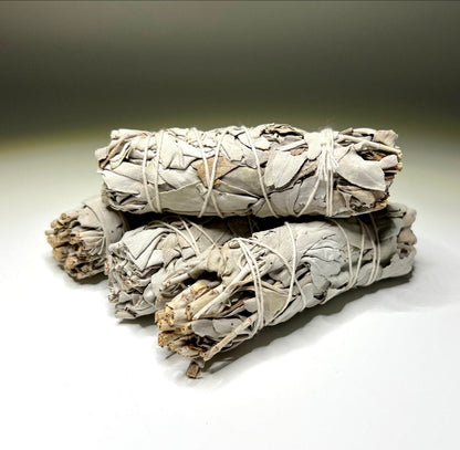 California Sage – Purification, Protection, and Spiritual Clarity