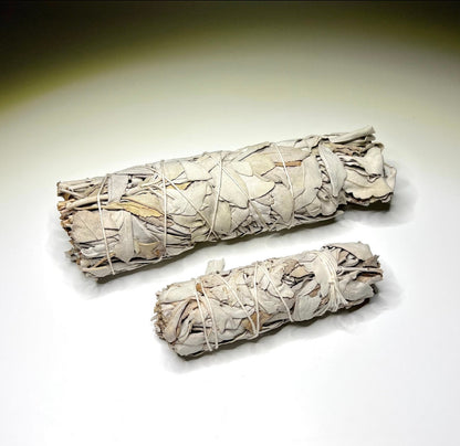 California Sage – Purification, Protection, and Spiritual Clarity