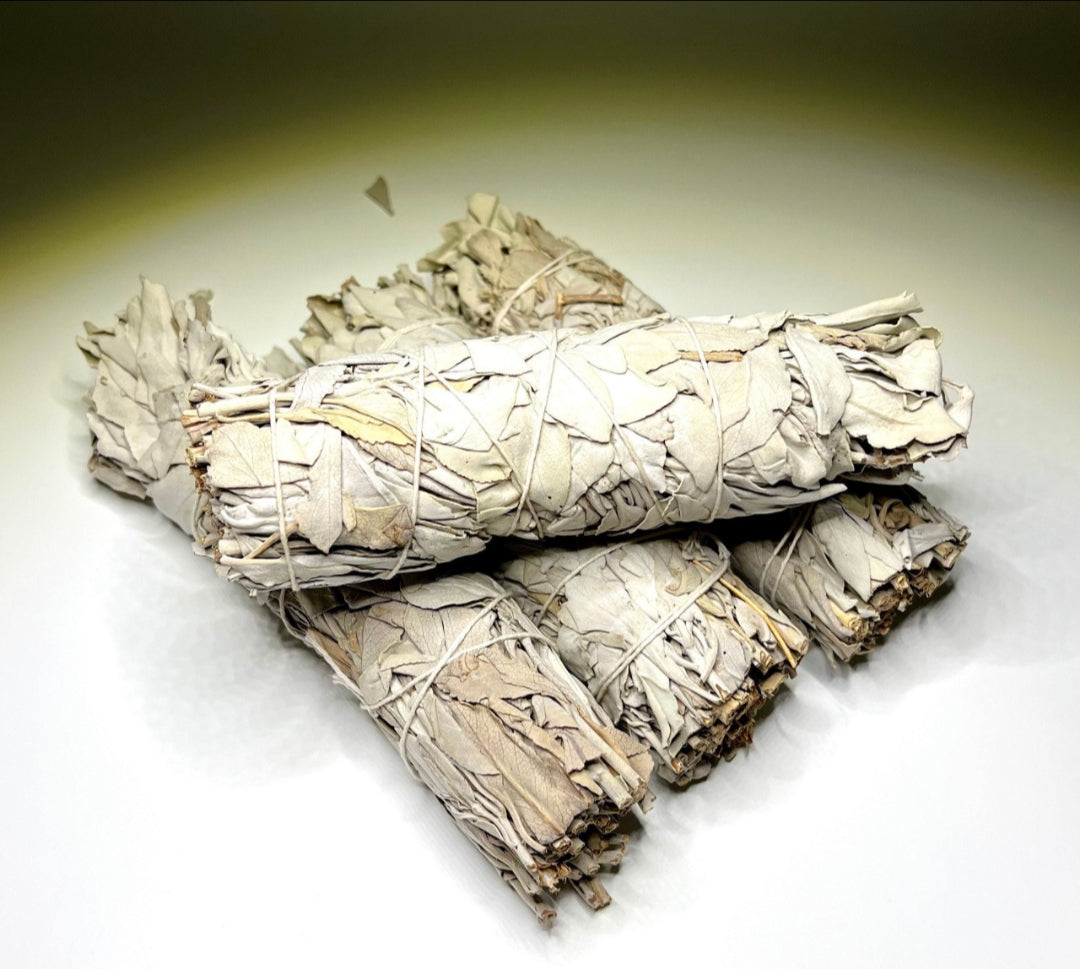 California Sage – Purification, Protection, and Spiritual Clarity
