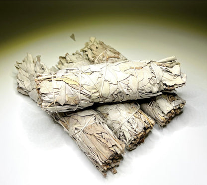 California Sage – Purification, Protection, and Spiritual Clarity