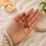 Nirakar Rudraksha (0 Mukhi) - 17mm-22mm
