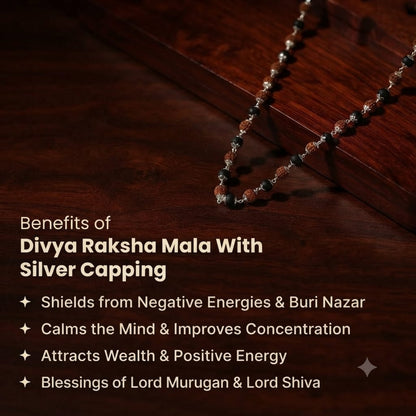 Divine Raksha Rudraksha & Karungali Silver Plated Mala