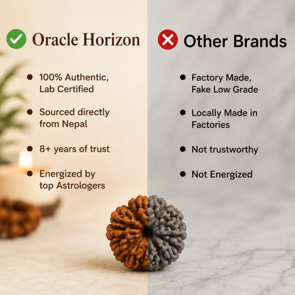 Oracle Horizon 5 Mukhi Rudraksha Bead 8mm