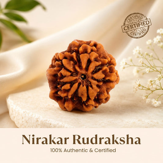 Nirakar Rudraksha (0 Mukhi) - 17mm-22mm