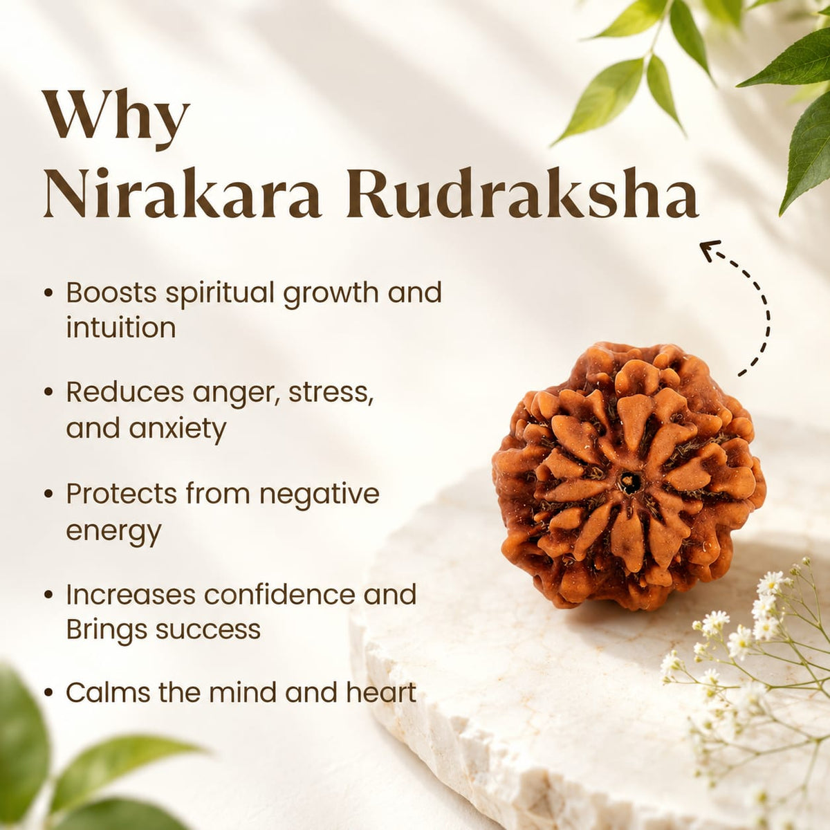 Nirakar Rudraksha (0 Mukhi) - 17mm-22mm