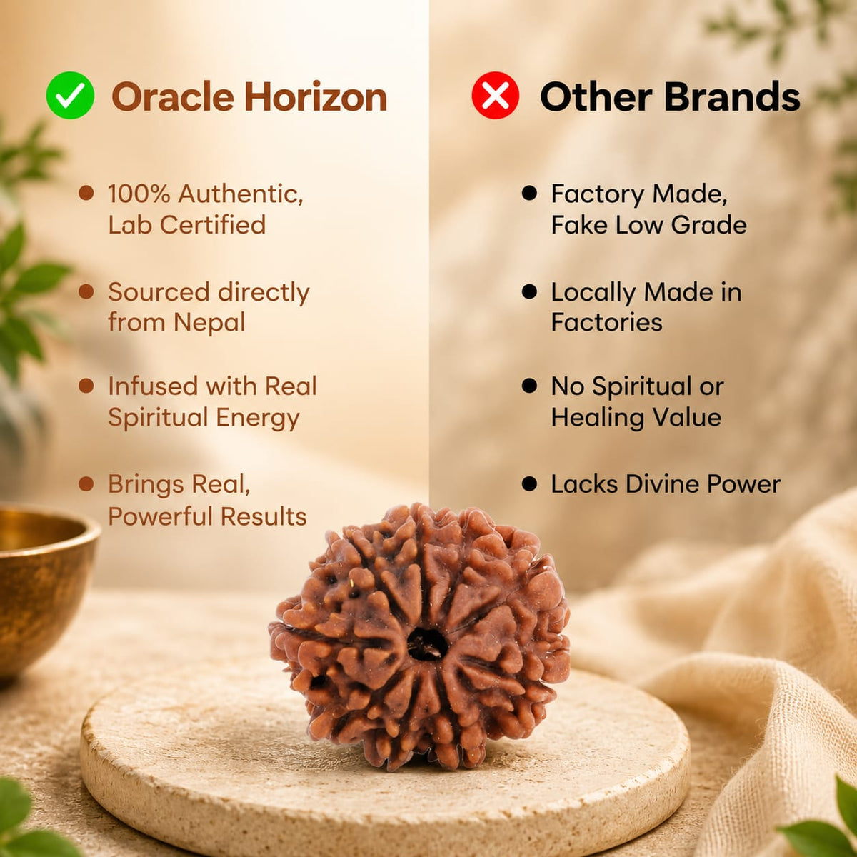 Nepal Origin 9 Mukhi Rudraksha - 17mm to 22mm