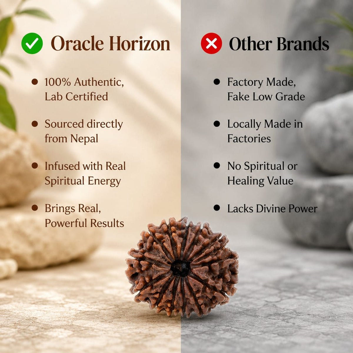 Nepal Origin 14 Mukhi Rudraksha - 17mm to 22mm
