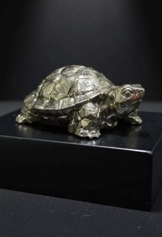 Pyrite Tortoise – The Guardian of Wealth, Stability & Long-Lasting Success